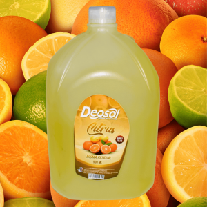 Alternative view of Aromatizante Deosol Citrus 5 Lts